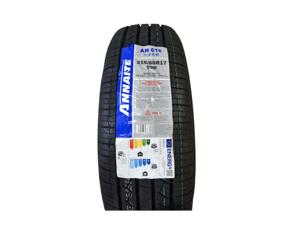 Annaite : 215/65R17 – TireGate.ca